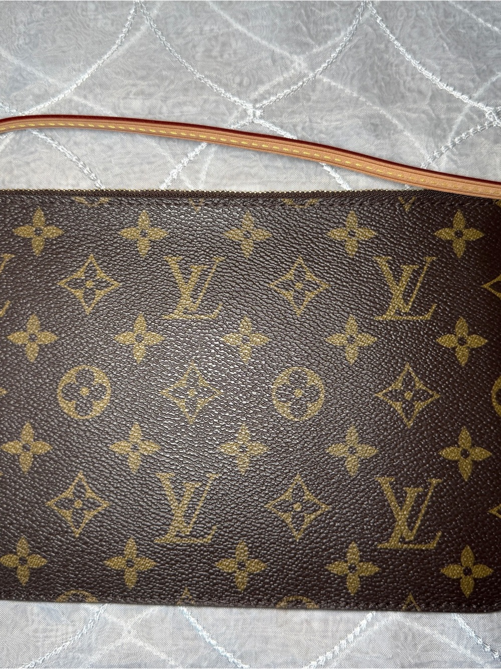 Louis Vuitton Pouch.